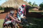 Muratina preparation 
